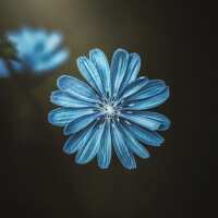 Lesen LED Bilder Bewertungen